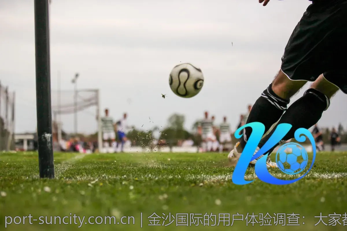 金沙国际的用户体验调查：大家都在说什么？