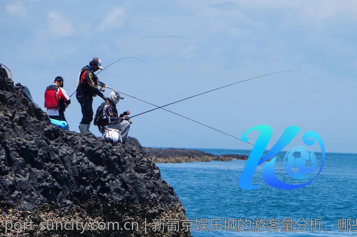 新葡京娱乐城的游客量分析，哪些游戏最受欢迎？