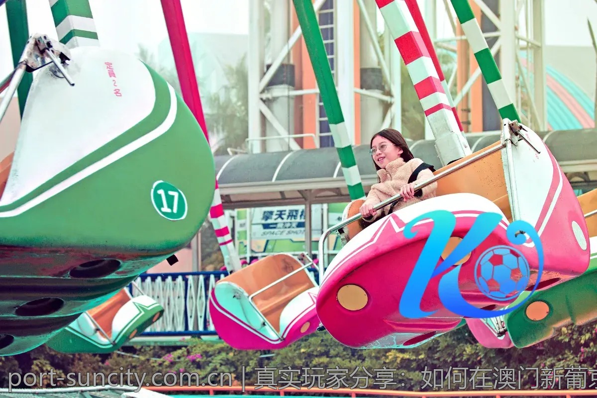 真实玩家分享：如何在澳门新葡京娱乐城实现稳定盈利