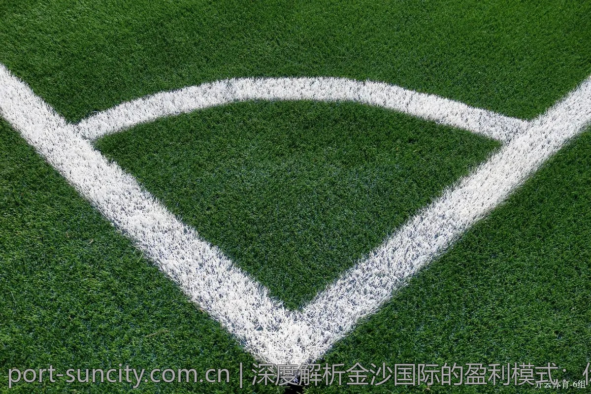 深度解析金沙国际的盈利模式：你也能轻松掌握
