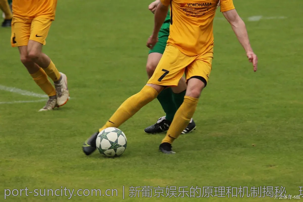 新葡京娱乐的原理和机制揭秘，玩之前必须知道