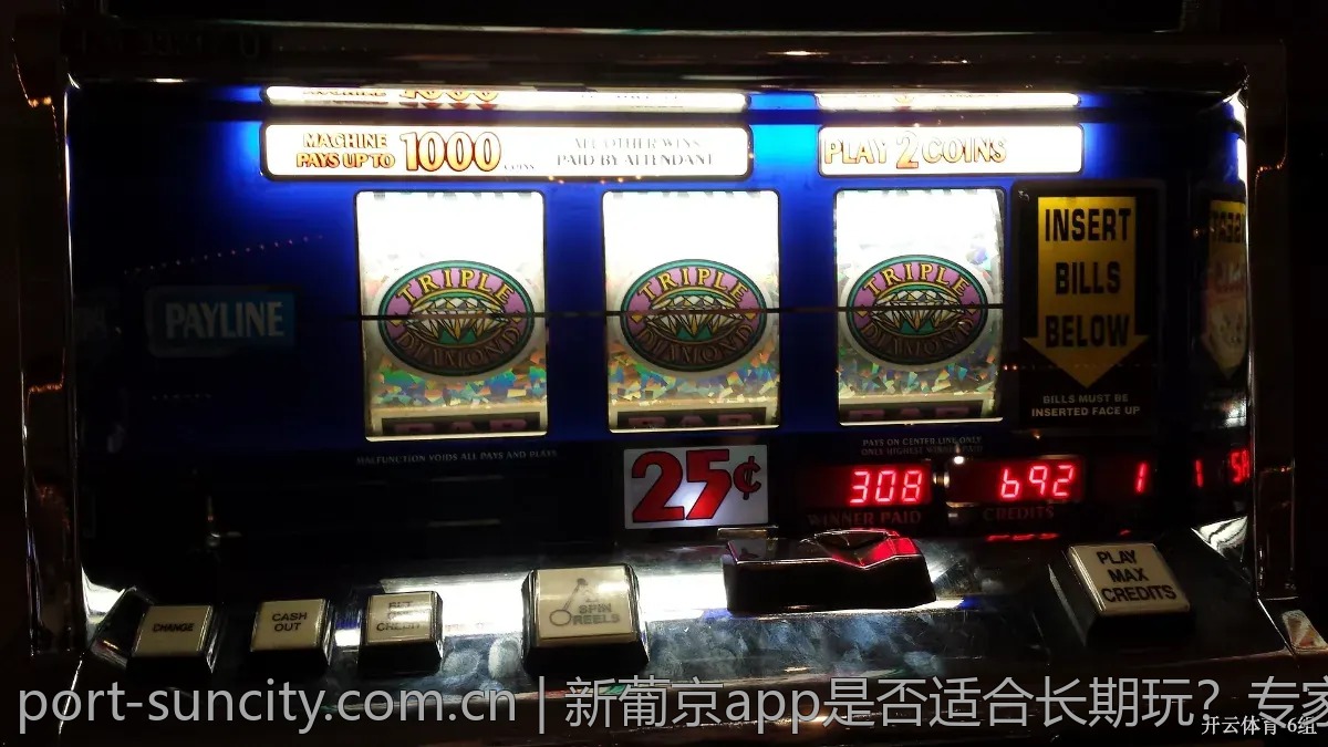新葡京app是否适合长期玩？专家意见