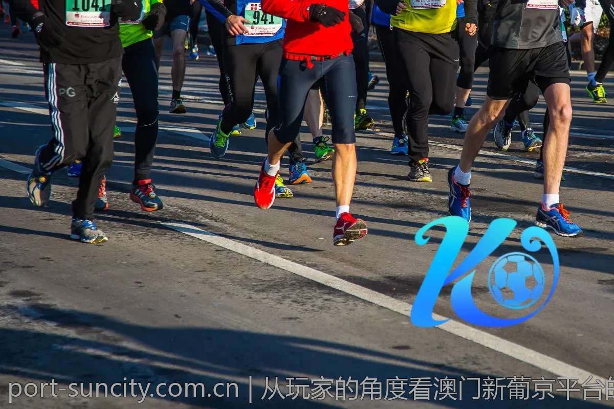 从玩家的角度看澳门新葡京平台的改进建议
