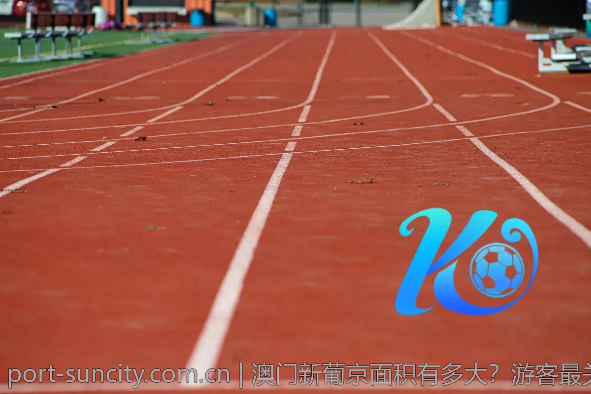 澳门新葡京面积有多大？游客最关心的问题解答