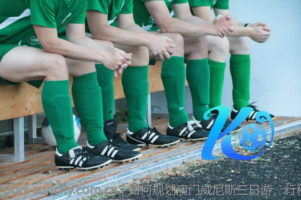 如何规划澳门威尼斯三日游，行程安排指南